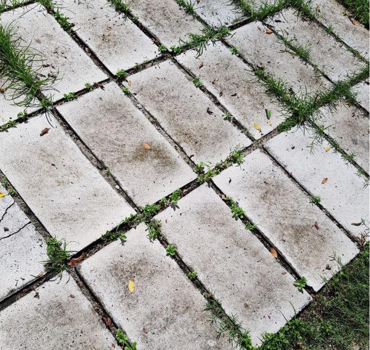 Outdoor Garden Diy Slabs Path, Concrete Tiles Outdoor Diy