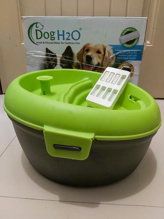 Dog H20 6L Water Fountain