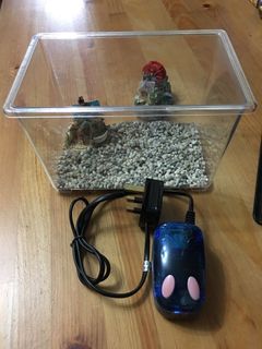 （分類：）位於 。 由 dontberacist 提交（商品編號 1030693864，圖片 1）。簡介： 。