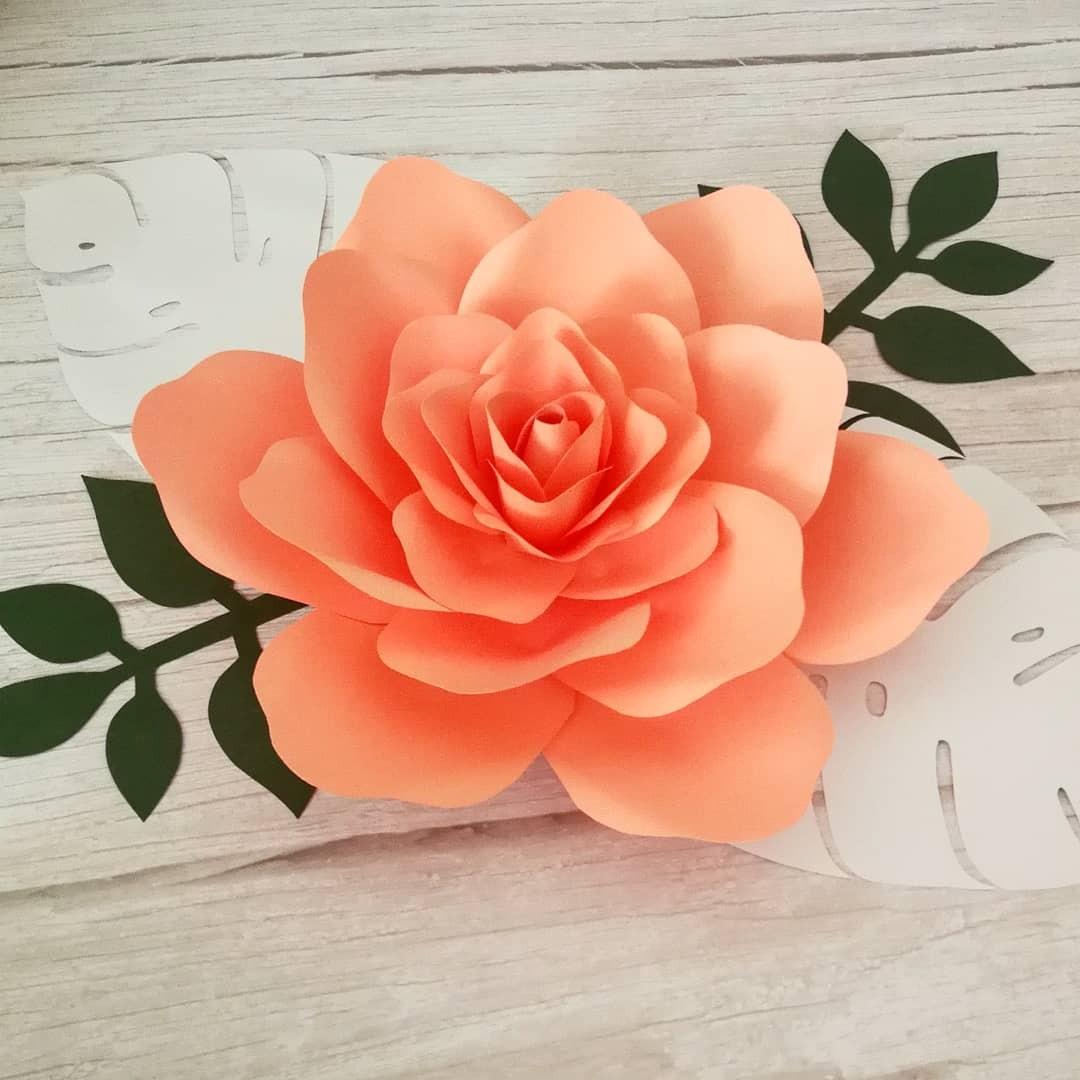 Giant Paper Flower BackdropDecoration, Hobbies & Toys, Stationery