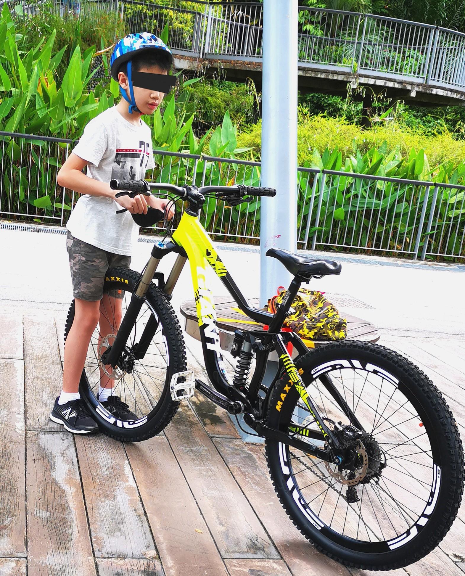 Giant reign sx 2011 top