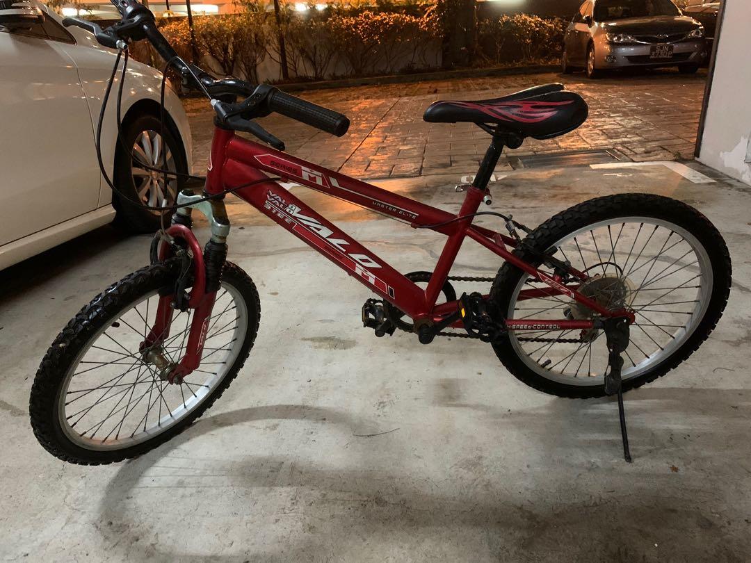 Age 10 mountain bike