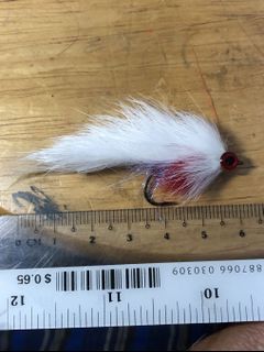 (Category: ) located in . Submitted by kamikaze_flies (Listing ID 1030615088, Image 1). Description: .