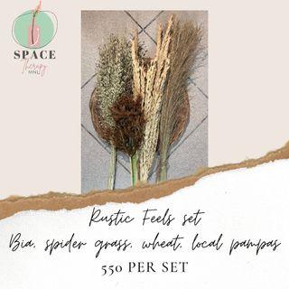 Rustic Feels Dried flowers set (4 kinds per set: Bia, Spider grass, wheat, local pampas)