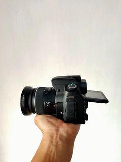 Sony A350 with 18-55mm DSLR Photography