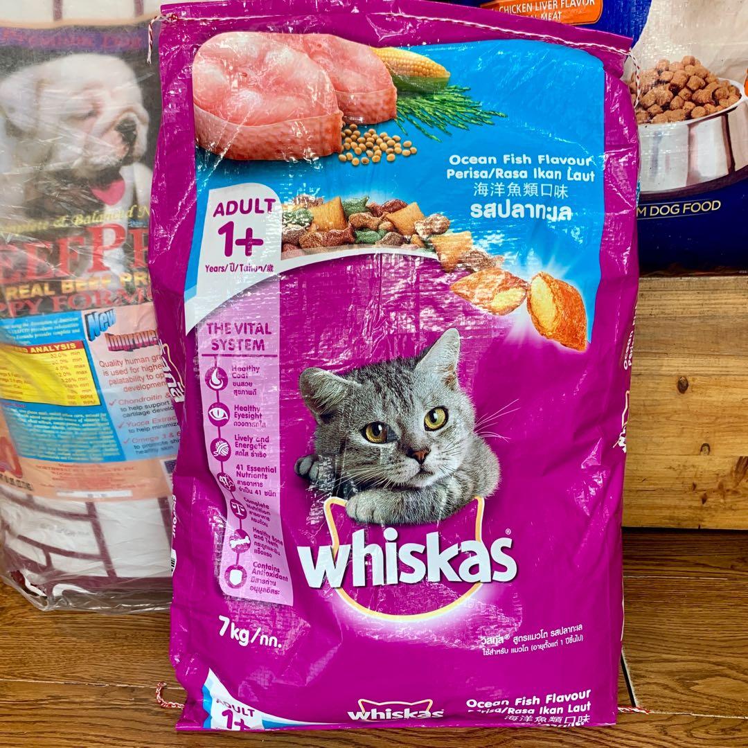 Whiskas ocean fish 7kg 2025