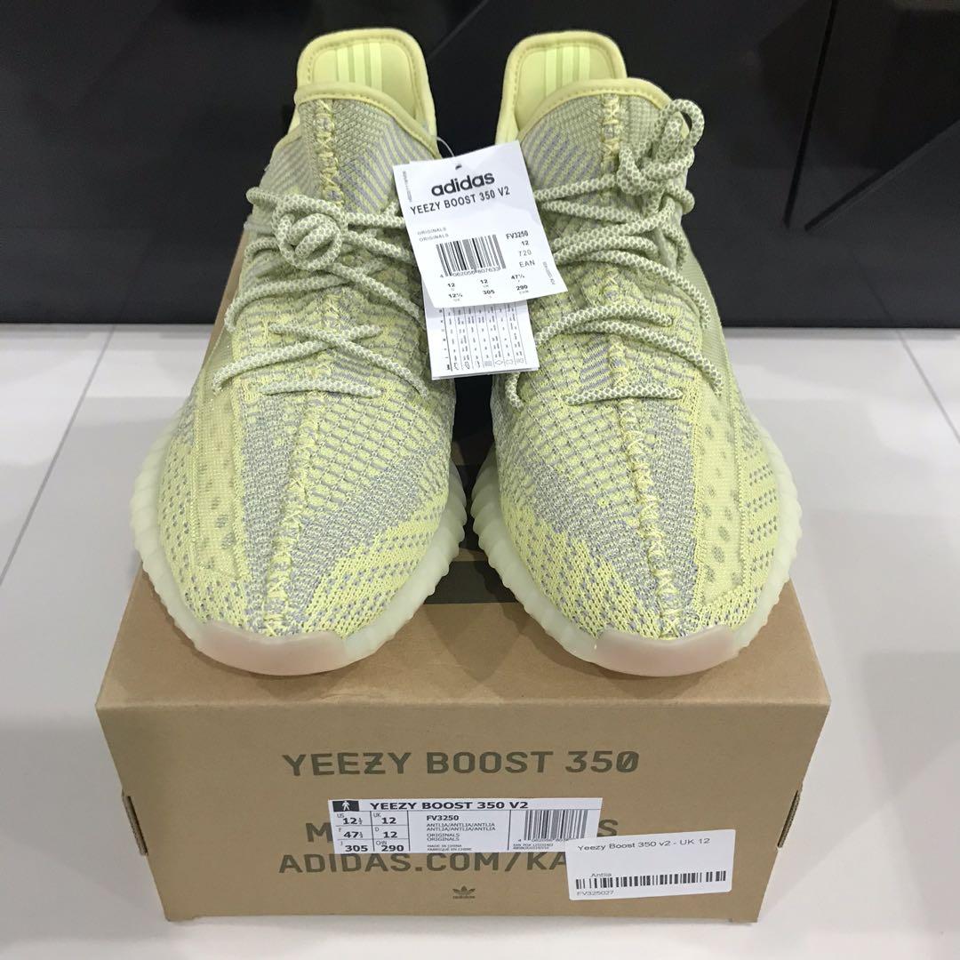Adidas store yeezy antila