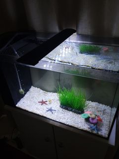 (Category: ) located in . Submitted by rjveer (Listing ID 1030906757, Image 1). Description: .