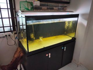 (Category: ) located in . Submitted by ahnxp (Listing ID 1030869900, Image 1). Description: .