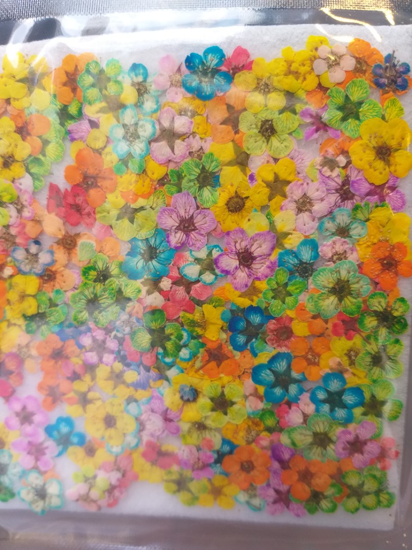 日本乾花押花小手球滴膠水晶膠ab膠uv膠浮游花花畫心意卡 手作 自家設計 手作產品 飾物 Carousell