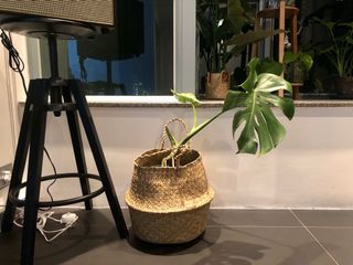 （分類：）位於 。 由 uzzzz 提交（商品編號 1030961361，圖片 1）。簡介： 。