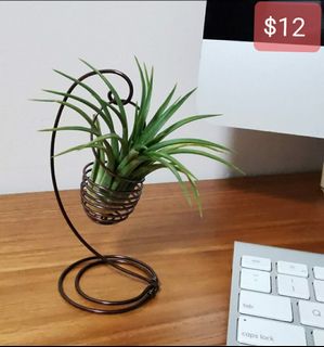(Category: ) located in . Submitted by chongivory (Listing ID 1030994956, Image 1). Description: .