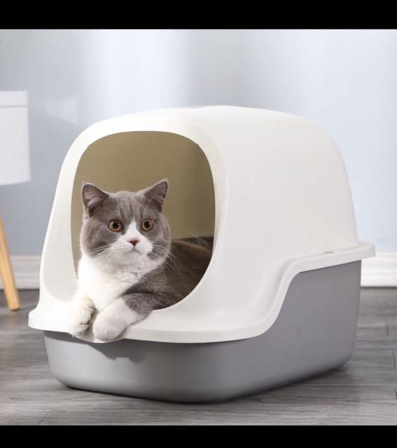 easy clean cat litter box