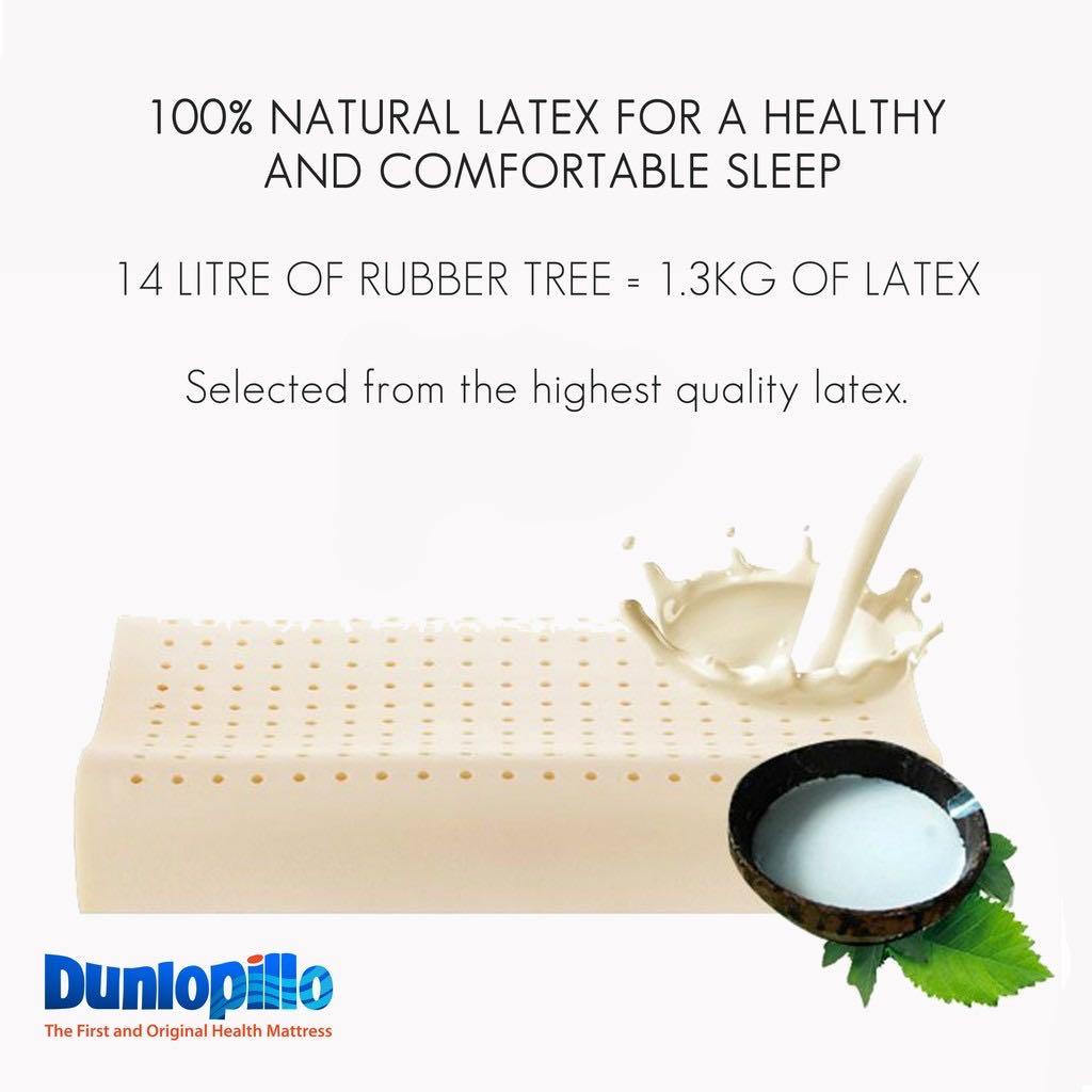 Dunlopillo Organic Natural Latex Pillow, Furniture & Home Living, Bedding & Towels on Carousell