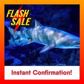 Aquaria Klcc Tickets Vouchers Carousell Malaysia