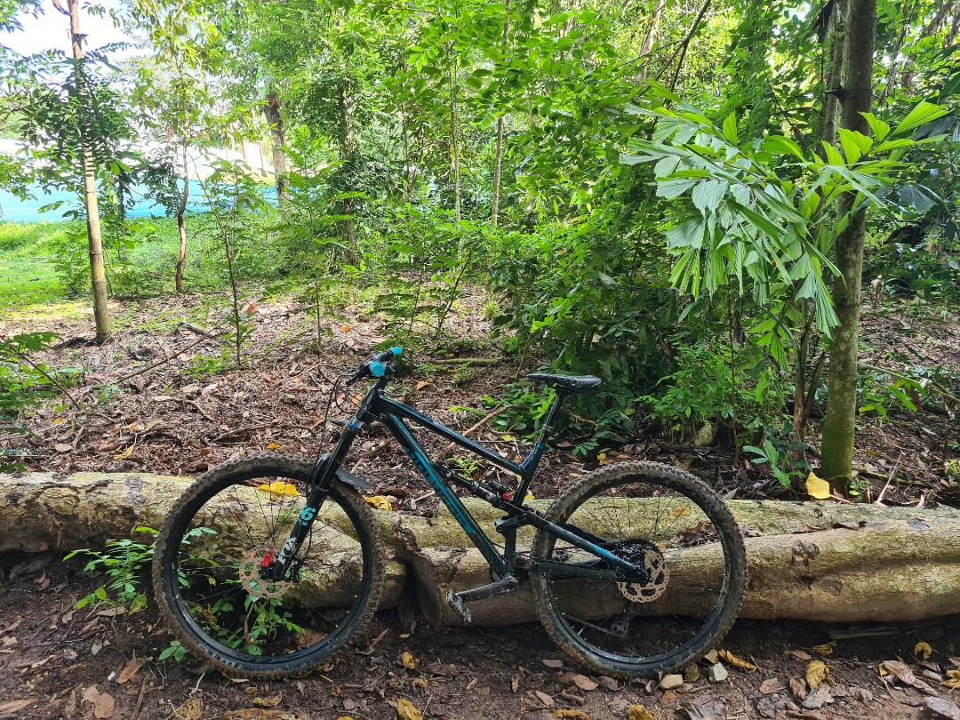 Polygon siskiu n9 discount 29er