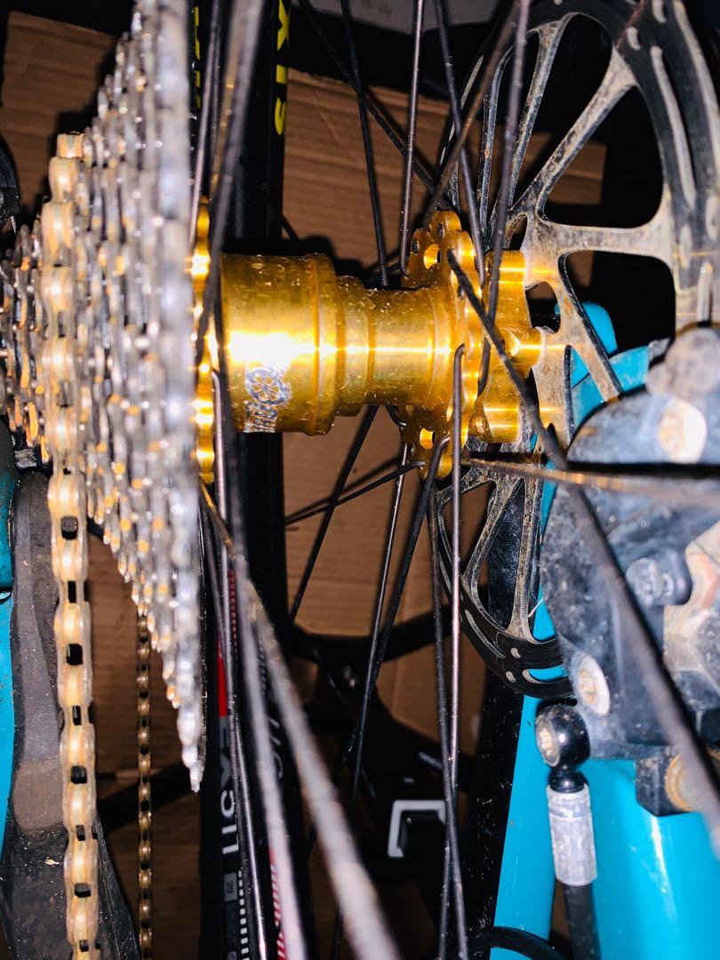 rear 29er wheel