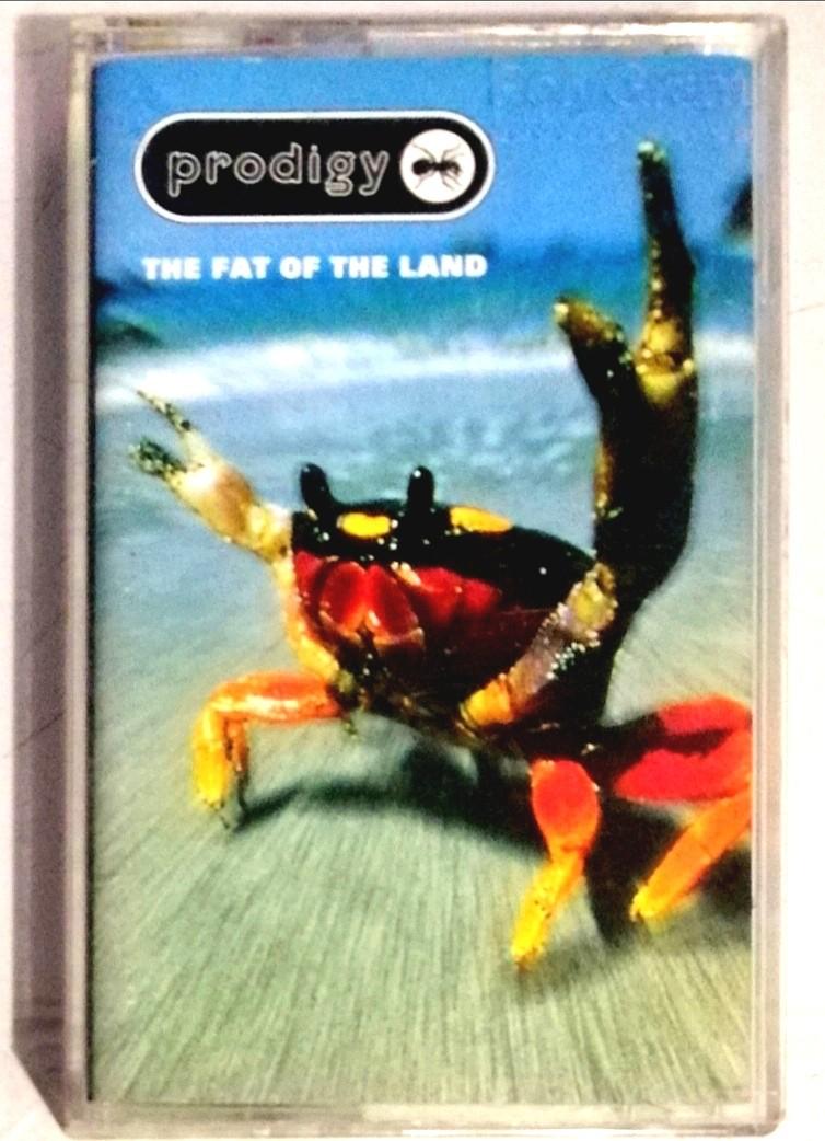 Arthcs Prodigy The Fat Of The Land Cassette Tape Firestarter Breathe Smack My Bit H Up Etc Tv Home Appliances Tv Entertainment Tv Parts Accessories On Carousell