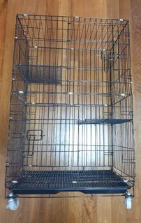 (Category: ) located in . Submitted by breddec (Listing ID 1031162234, Image 1). Description: .