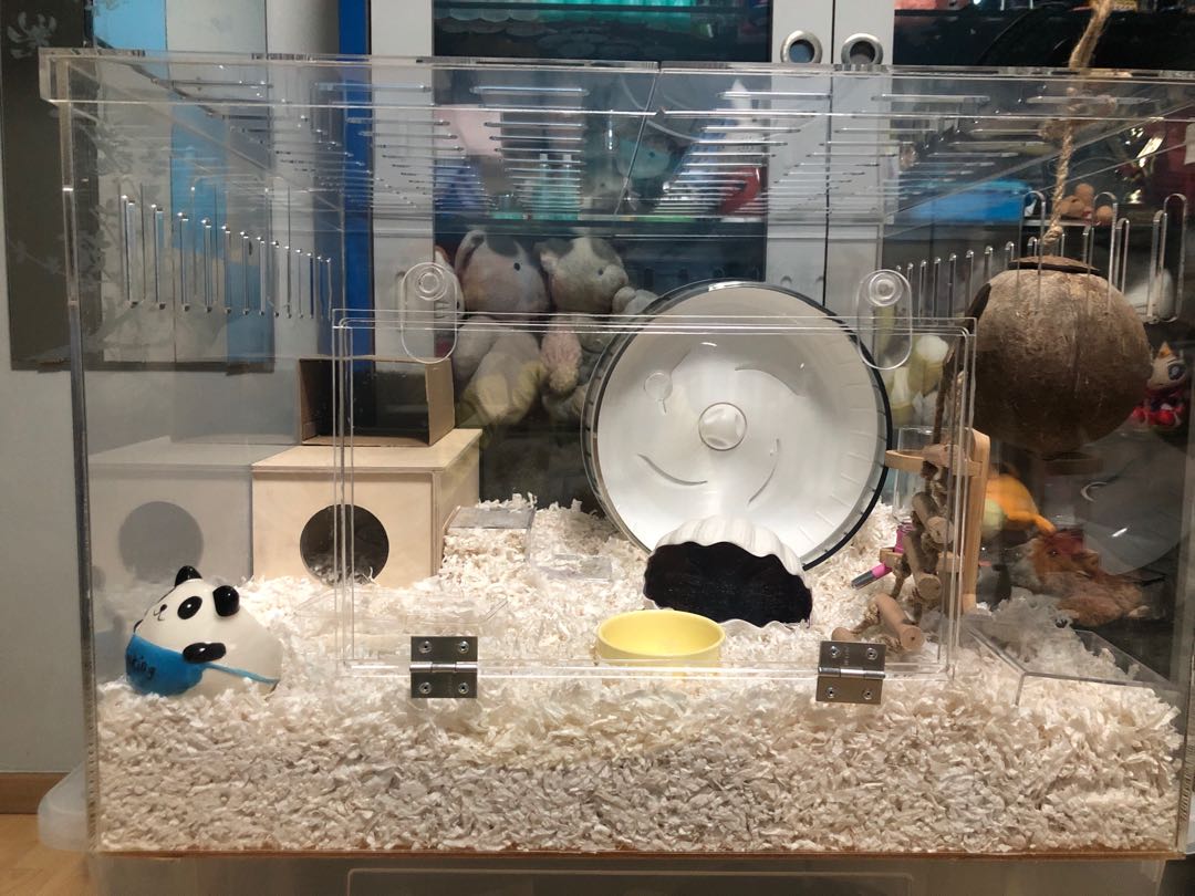 Acrylic cage hamster sale