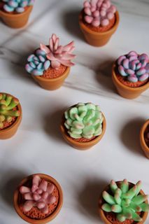 (Category: ) located in . Submitted by sjo_flora (Listing ID 1031187714, Image 1). Description: .