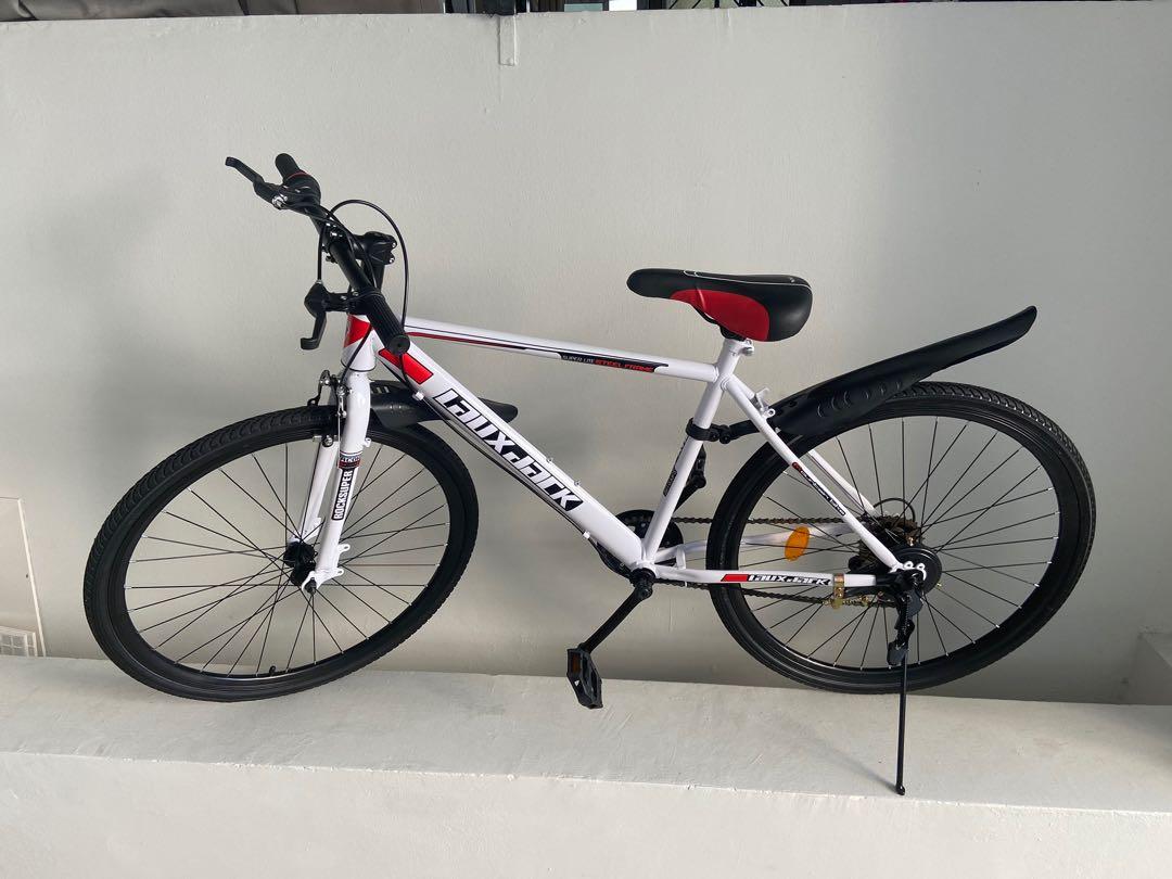 adult mountain bike