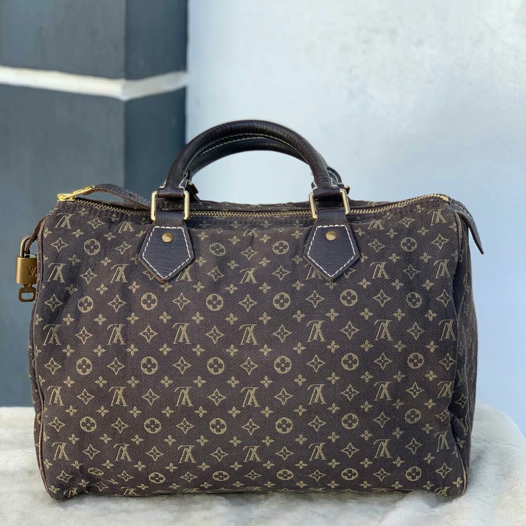 LV Speedy 30 Brown Mini Lin Monogram Idylle Canvas Handbag, Luxury, Bags &  Wallets on Carousell