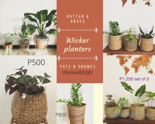 Rattan abaca Plant baskets