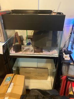 (Category: ) located in . Submitted by mr.rio (Listing ID 1031076098, Image 1). Description: .