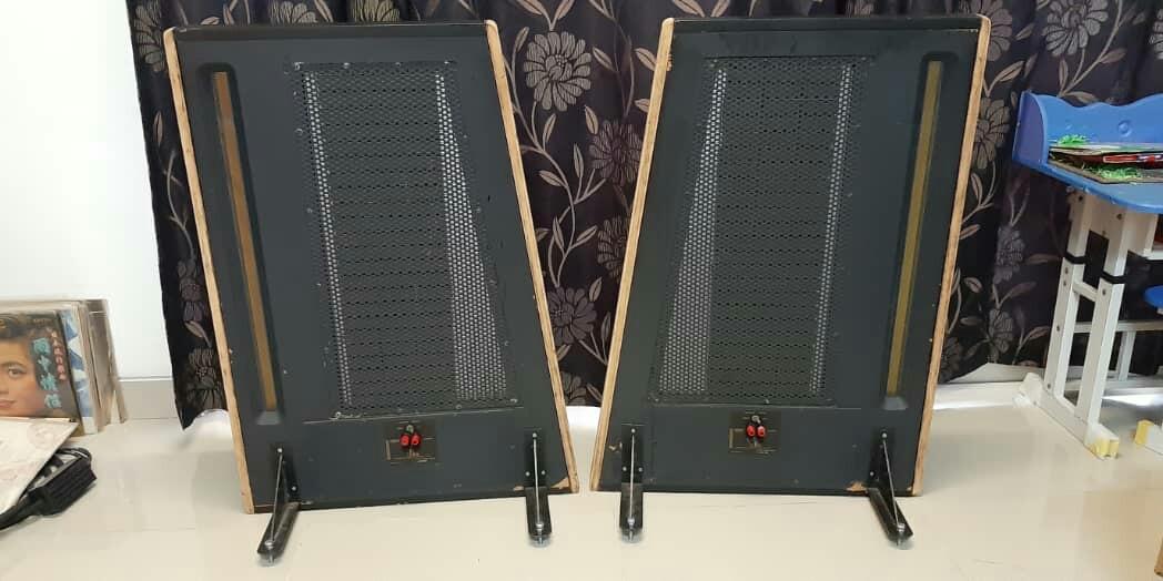 Apogee Full Range Planar Speaker