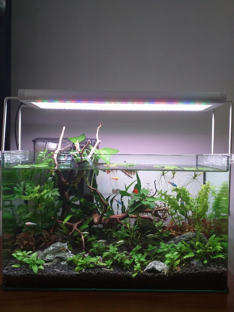 aquascaping supplies usa