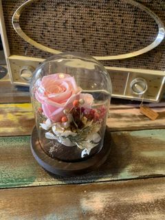 (Category: ) located in . Submitted by doris_florist (Listing ID 1031409921, Image 1). Description: .