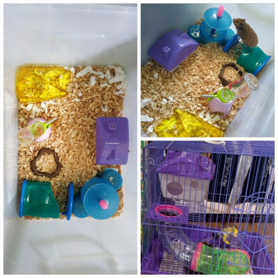 hamster cage accessories