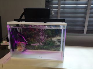 (Category: ) located in . Submitted by tantan89 (Listing ID 1031273744, Image 1). Description: .
