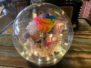 (Category: ) located in . Submitted by doris_florist (Listing ID 1031405783, Image 1). Description: .