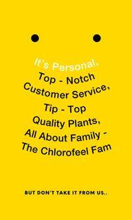 🌟QUALITY PLANTS with TOP-NOTCH SERVICE🌸🌿