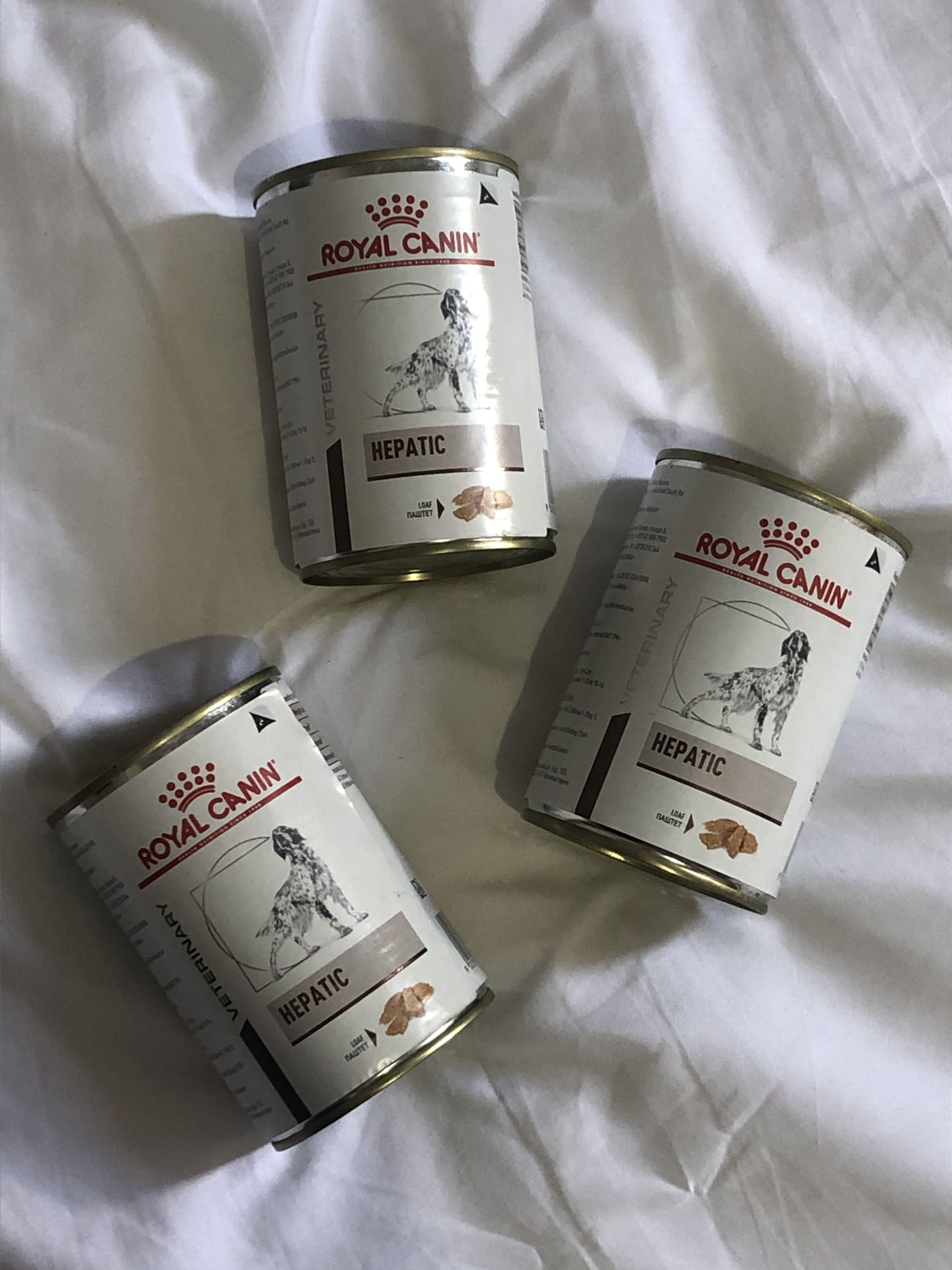 Royal Canin Hepatic Wet Dog Food Loaf 420g Pets Supplies Pet Food On Carousell