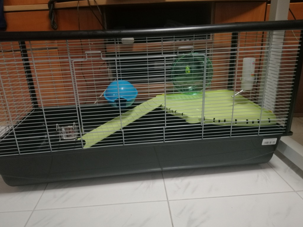 Hamster plaza on sale