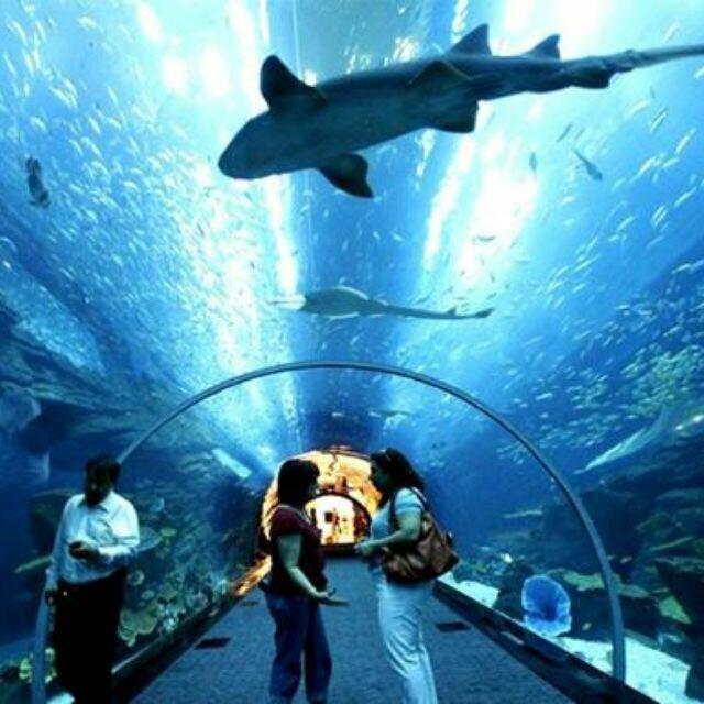 Underwater World Langkawi Tickets Vouchers Attractions Tickets On Carousell