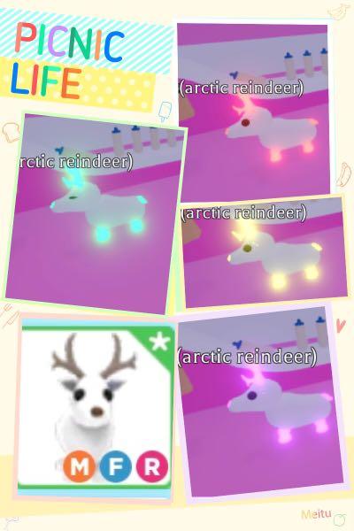 Adopt Me Roblox Mega Arctic Reindeer Limited Toys Games Video Gaming In Game Products On Carousell - rsl roblox