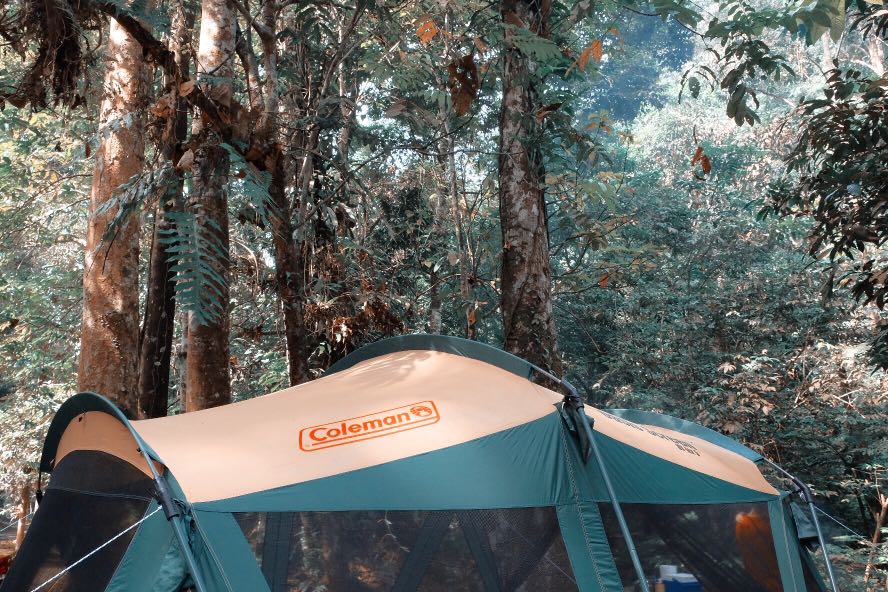 Coleman Oasis Screen UV Tex 5, Everything Else, Others on Carousell