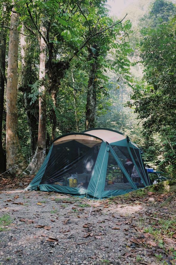 Coleman Oasis Screen UV Tex 5, Everything Else, Others on Carousell