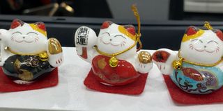(Category: ) located in . Submitted by jeffrey_soo (Listing ID 1031490889, Image 1). Description: .