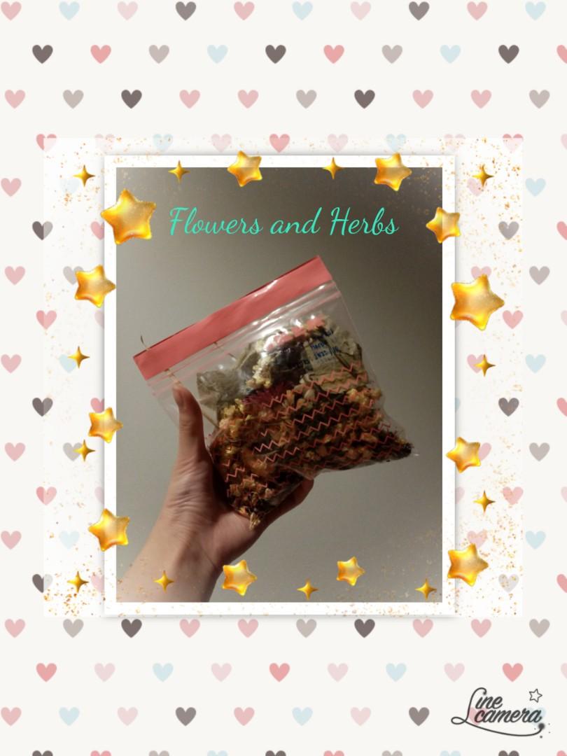 Hammycare We Care We Love Herbs Flowers Pet Supplies For Small Animals Pet Food On Carousell