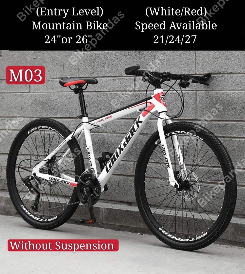 entry level mountain bike