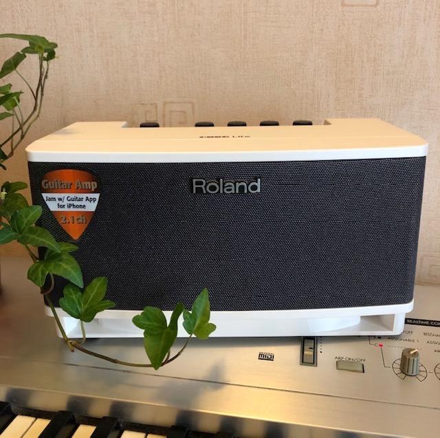 輕巧方便靚 roland cube lite guitar monitor amplifier 2 1 channel white color