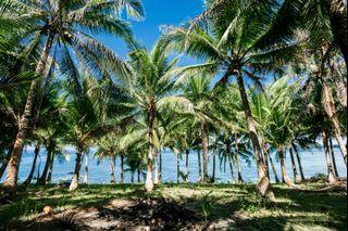 Siargao's Daku Beachfront Land & TITLED Beachfront Lot in Giwan (Guiwan/Don Paulino) for Sale