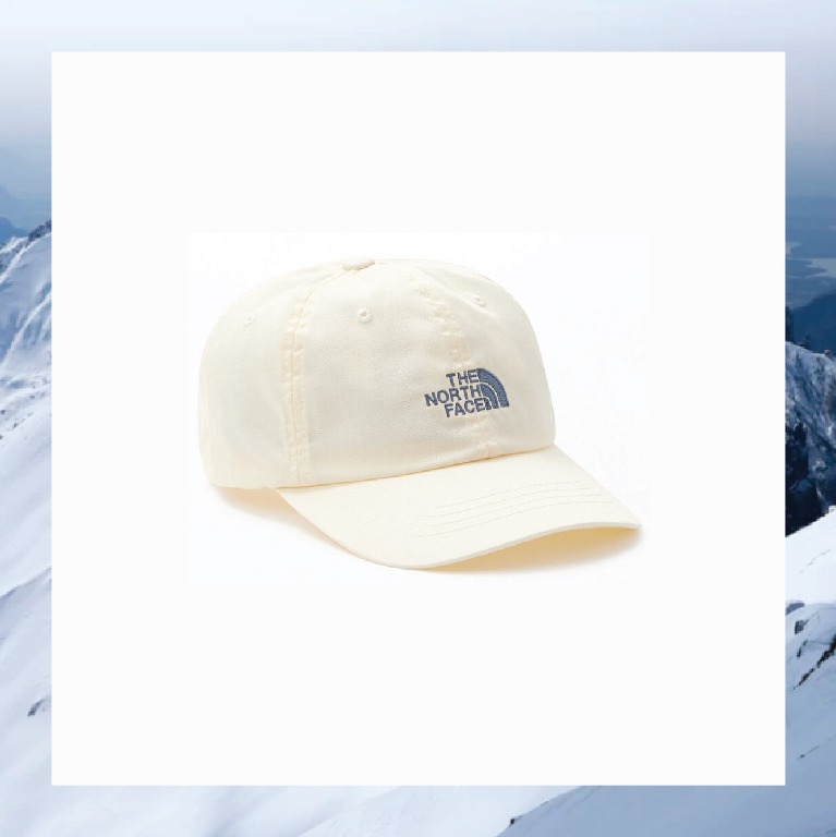 the north face dad hat