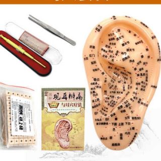 (Category: ) located in . Submitted by dylanchong3003 (Listing ID 1031564011, Image 1). Description: .