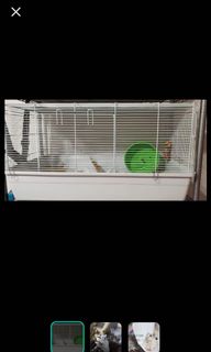 (Category: ) located in . Submitted by 33shine. (Listing ID 1031574499, Image 1). Description: .